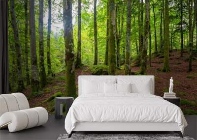 Scenic shot of a dense forest covered in bright green moss Wall mural