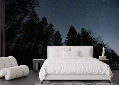 Scenic view of silhouettes of trees on a starry night Wall mural