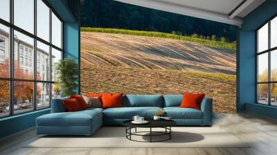 Sunlit harvested field with crops and forest background Wall mural