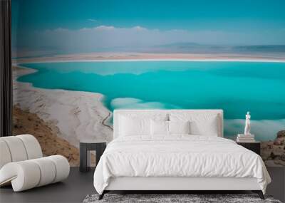 the dead sea is beautiful blue in a sunny day in jordan Wall mural