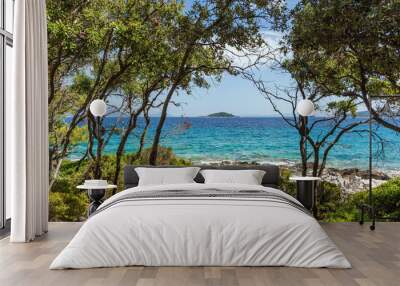 Trees on rocky coast with turquoise sea on a sunny summer day on Badija island, Korcula, Croatia Wall mural