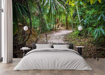 Tropical forest path with dense greenery Wall mural