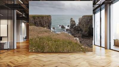 View of rugged cliffs and sea on a cloudy day. Pembrokeshire Coast National Park, Wales Wall mural