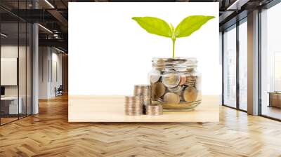 Coin glass jar container and stack on wooden desk with tree leaves, saving concept, on white background Wall mural