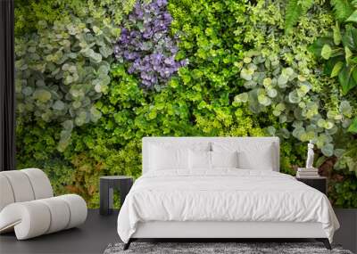 Vertical garden living flower and fern wall replica Wall mural