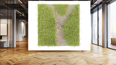 3D illustration. Green grass and flowers or lawn cut out from the background or isolated on white background. with clipping paths Wall mural