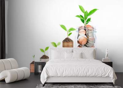 Coins and plants are planted on a pile of coins. Ideas for investment finance Banking business growth, savings and productivity on white background Wall mural