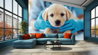 A cute puppy receiving care from a veterinarian, showcasing compassion and love in a clinical setting. Wall mural