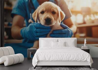 A cute puppy receiving care from a veterinarian with gloves, capturing the essence of pet health and compassion. Wall mural