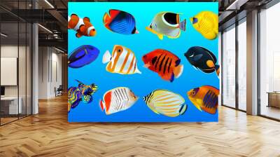 group of fishes on a blue background Wall mural