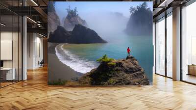 man looking out beautiful sea stacked rocks and fog in summer at secret beach, oregon Wall mural