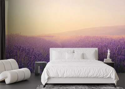 A field of lavender blooming in the morning light, with a soft, hazy background. Wall mural