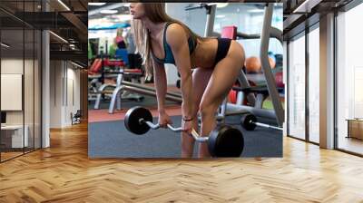 At gym. Attractive girl squats with barbell Wall mural