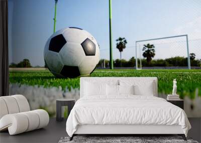 Soccer football on green grass field and goal post Wall mural