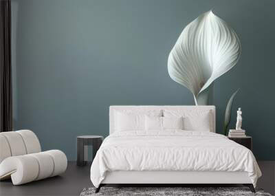 Elegant white calla lily against a soft grey background, perfect for nature and minimalist themes. Wall mural