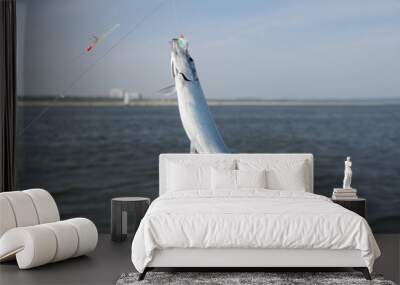 herring fish Wall mural