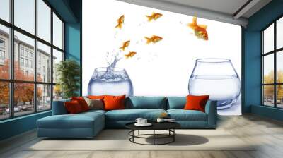 jump gold fish from aquarium to aquarium Wall mural