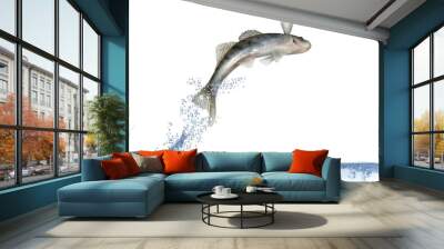 long zander Wall mural