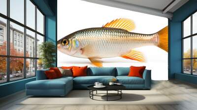 aquarium fish isolated white background Hyphessobrycon pulchripinnis. generative ai Wall mural