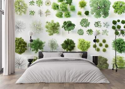 Collection of Top-Down View Tree Illustrations Wall mural