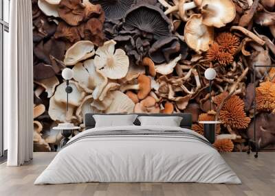 Mixed dried mushroom. Assortment of dried mushrooms. Different species of dry fungi. AI Generative Wall mural