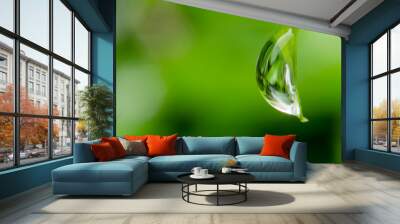 Close up of the drop of water on the green leaf with blurred green background. Wall mural