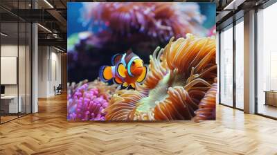 Clownfish swimming on anemone underwater coral reef background. colorful coral reef landscape Wall mural