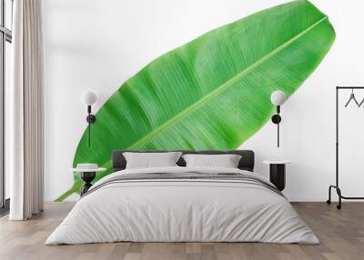 Banana leaf on a white background clipping path Wall mural