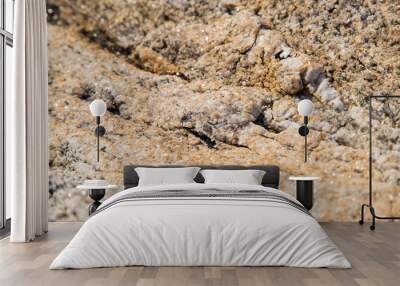 Rough Granite surface Wall mural