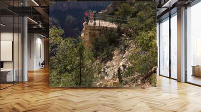 Grand Canyon, North Rim, USA
 Wall mural