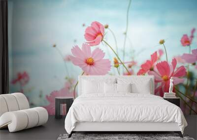 Cosmos flower blossom in garden Wall mural