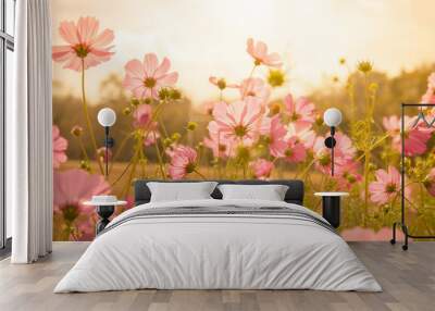 Cosmos flower blossom in garden Wall mural