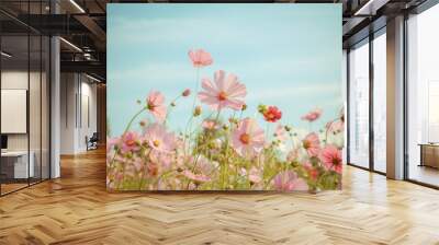 Cosmos flower blossom in garden Wall mural