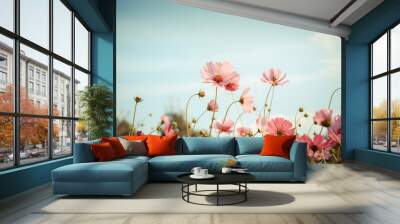 Cosmos flower blossom in garden Wall mural