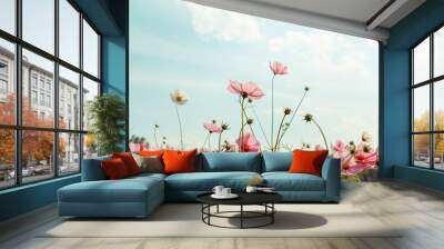 Cosmos flower blossom in garden Wall mural