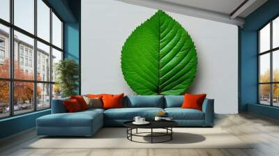 Green Leaf on White. Wall mural