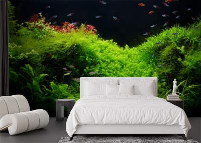 Nature freshwater aquarium in Amano style with little characins Wall mural