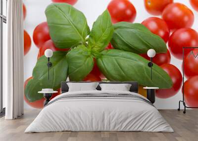 fresh cherry tomatoes with basil, on white background Wall mural