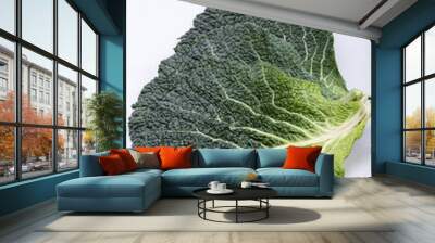 fresh savoy cabbage leaf as a texture Wall mural