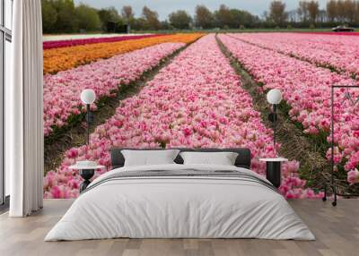 Tulip fields of the Bollenstreek, South Holland, Netherlands Wall mural