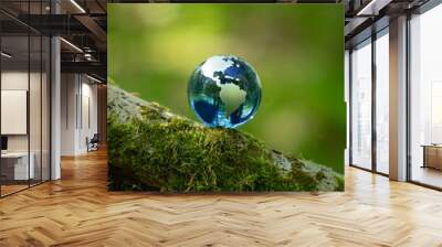 glass earth globe in the forest Wall mural