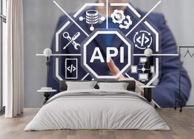 concept of api application programming interface integration. software development technology. Wall mural