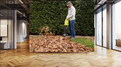 Autumn gardening. A young woman cleans the leaves with a blower. Wall mural