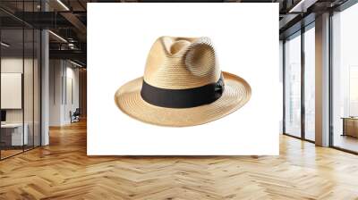 Fedora hat isolated on white background Wall mural