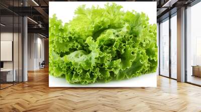 Fresh green iceberg lettuce isolated on white Wall mural