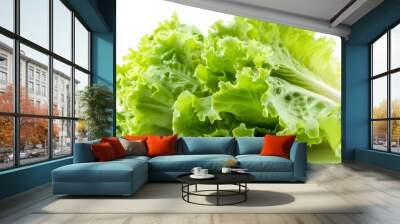 Fresh green iceberg lettuce isolated on white Wall mural