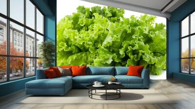 Fresh green iceberg lettuce isolated on white Wall mural