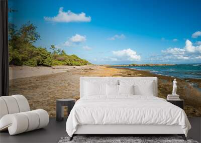 A sunny day at the Oahu turtle beach bay with nature sand and rough lava rock north shore coastline Wall mural