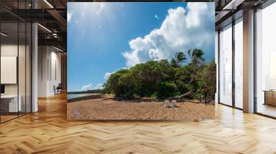 A sunny day at the Oahu turtle beach bay with nature sand and rough lava rock north shore coastline Wall mural