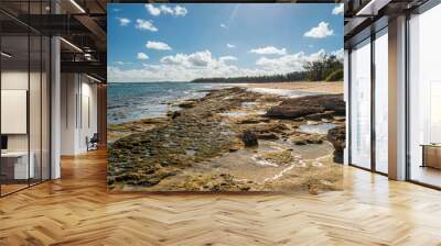 A sunny day at the Oahu turtle beach bay with nature sand and rough lava rock north shore coastline Wall mural